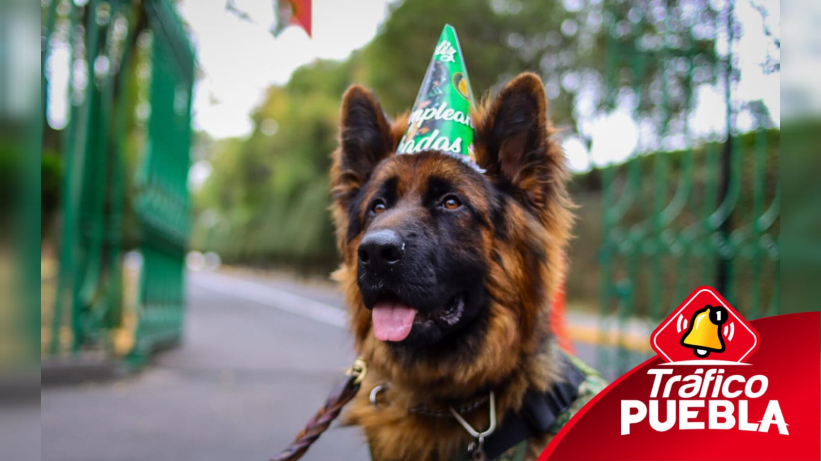 El soldado Arkadas de la SEDENA celebró su primer cumpleaños