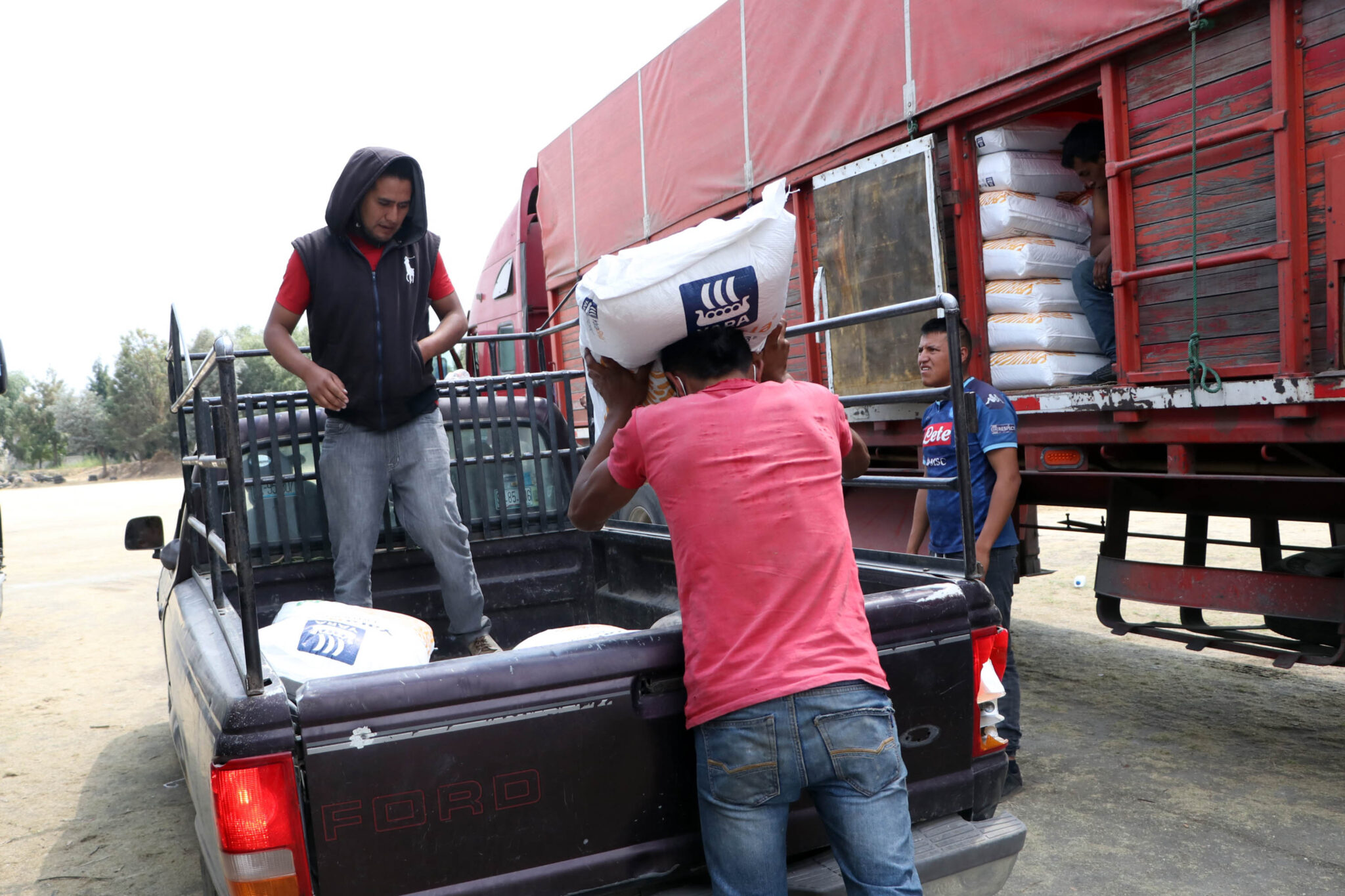 Fortalecen a productores con paquetes tecnológicos