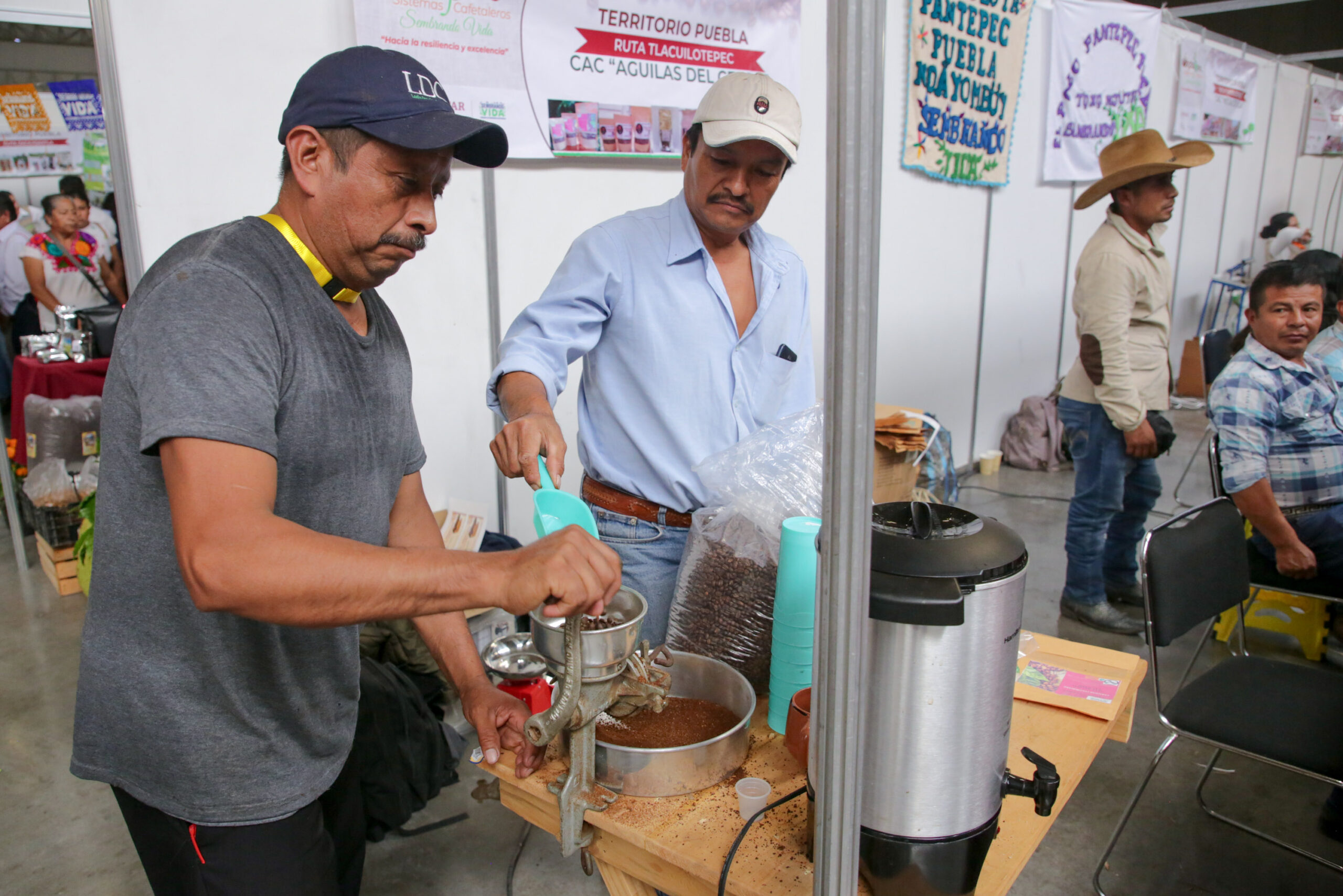 exposición cafe