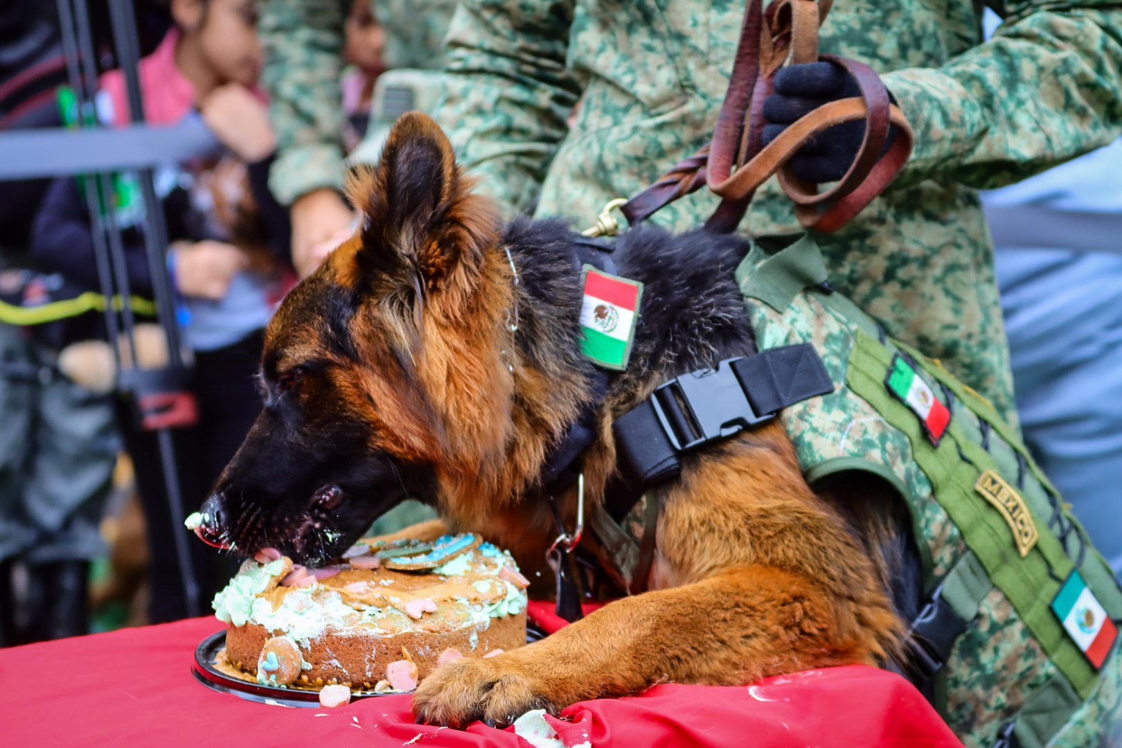 Celebración del primer año de Arkadas