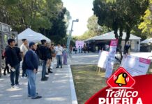 Feria del empleo ofrece 307 vacantes