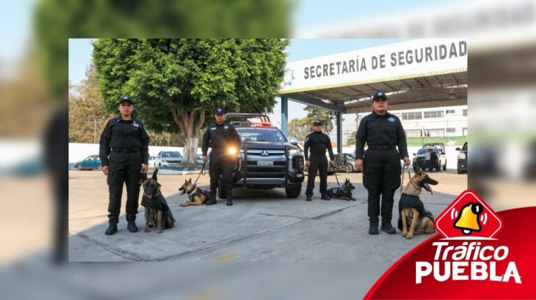 Ejemplares caninos de la policía estatal recibieron certificación internacional