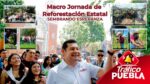 El gobernador electo, Alejandro Armenta realizó una macro jornada de reforestación