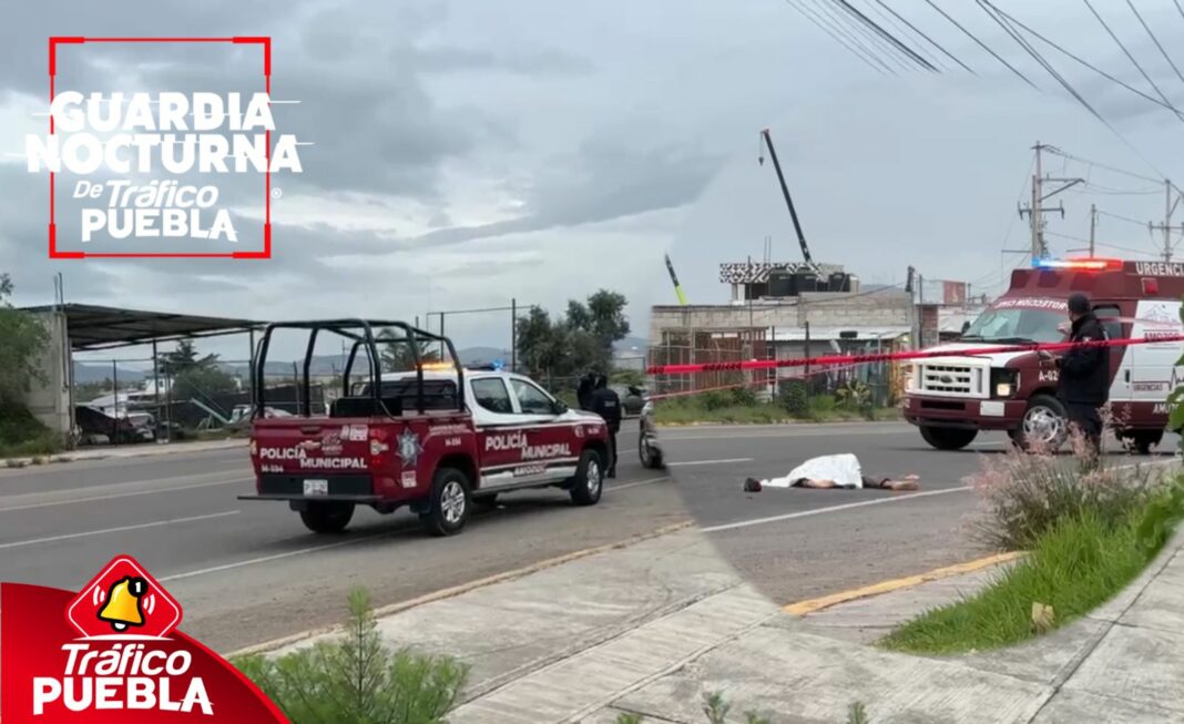 Peatón muere atropellado en la federal a Tehuacán