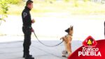 Puebla y Tlaxcala fortalecen operatividad en seguridad de unidades caninas