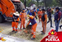 870 toneladas de basura serán recolectadas en Todos Santos