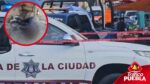 Balacera en el tianguis de Loma Bella deja tres heridos y un muerto