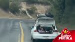 ¡El padre del año! Niñas viajaron sin medidas de seguridad en la cajuela de un auto con placas de Puebla