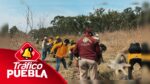 Con 85 elementos, se realizaron 2 brechas corta incendio