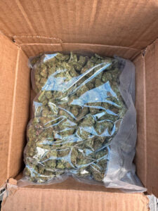 Decomisan 16 kilogramos de presunto narcóticos en San Jerónimo Caleras Marihuana