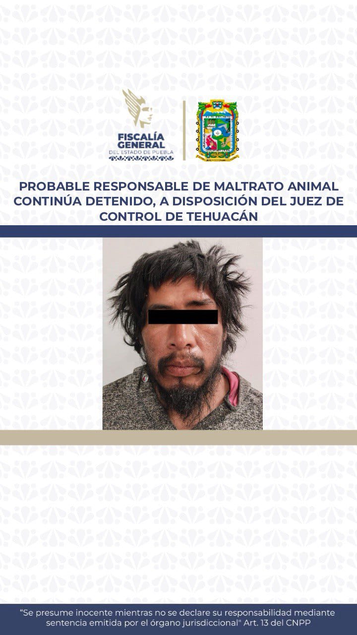 Detienen al presunto agresor del perrito golpeado con una piedra