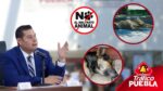 Gobierno estatal y 16 municipios acuerdan cero tolerancia al maltrato animal