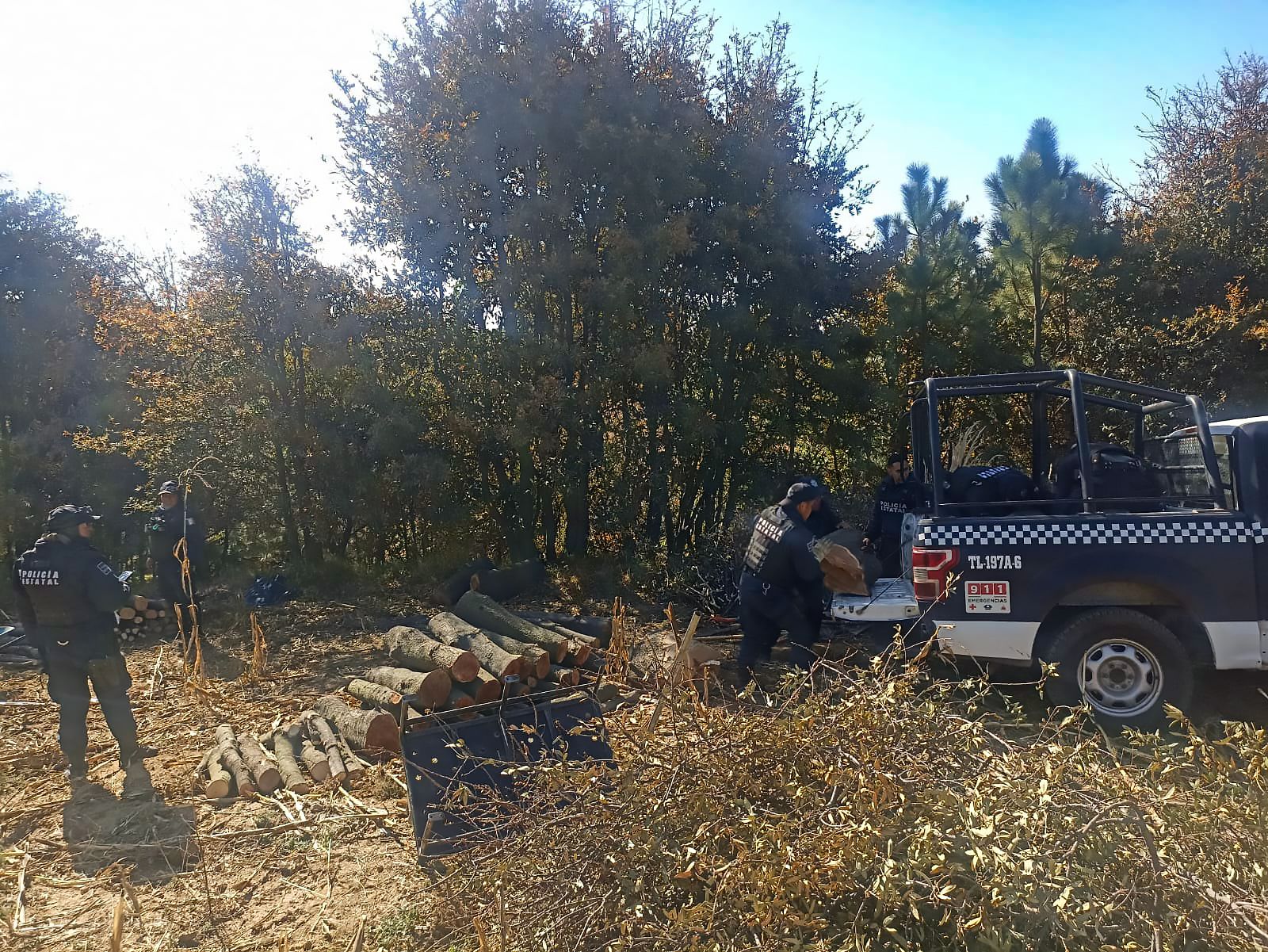 Guardia y policía forestal lograron su primer decomiso_foto1