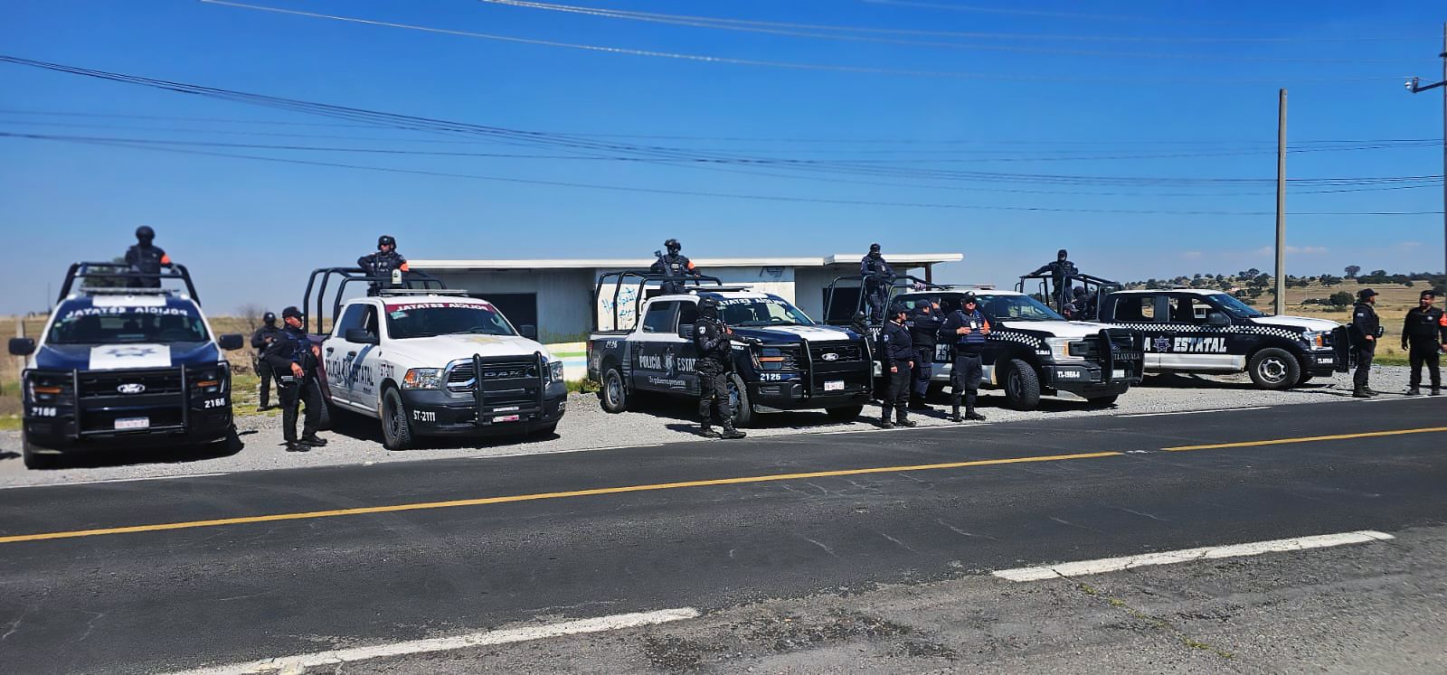 Guardia y policía forestal lograron su primer decomiso_foto2