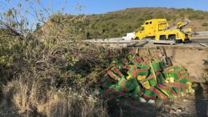 Un tráiler que transportaba pollos se volcó sobre la autopista Siglo XXI cargamento