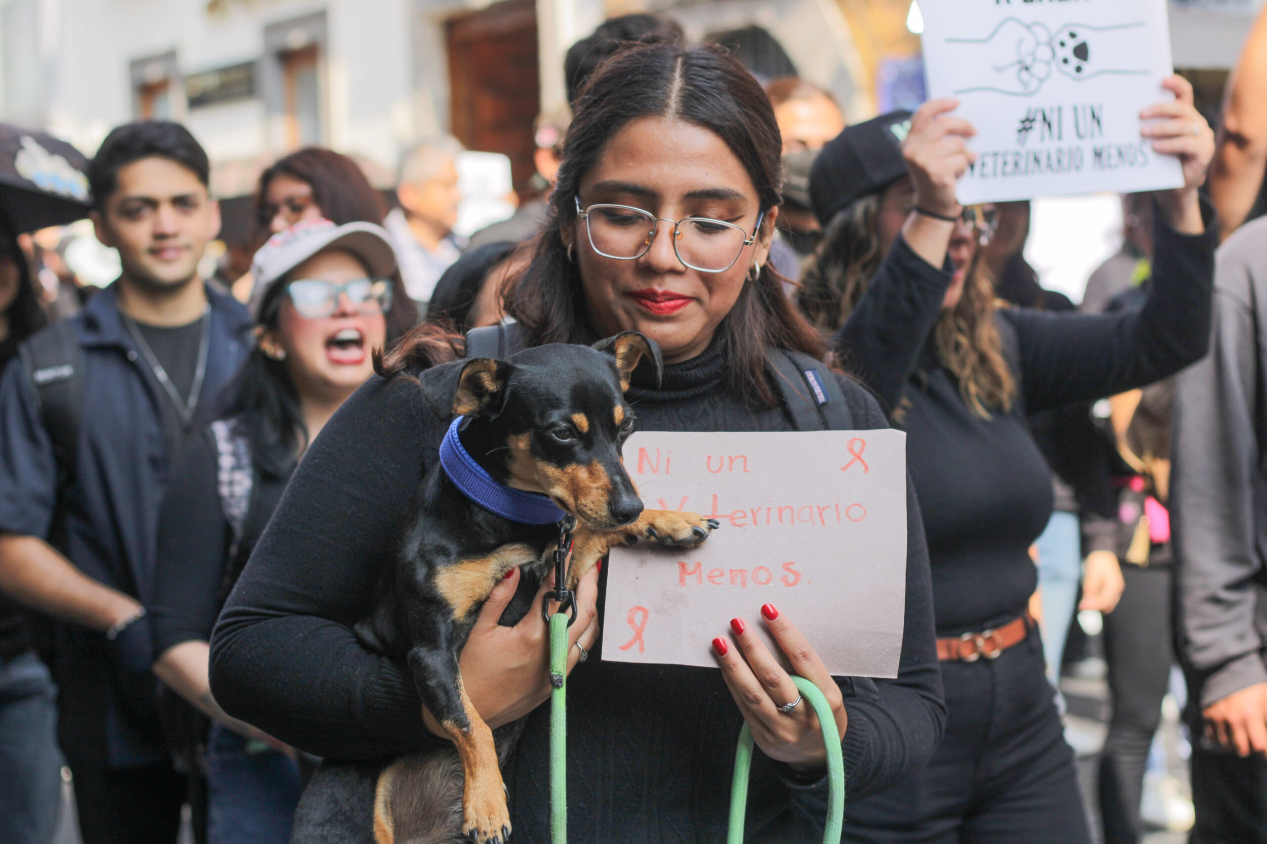 Veterinarios de Puebla se sumaron a la marcha nacional_foto3