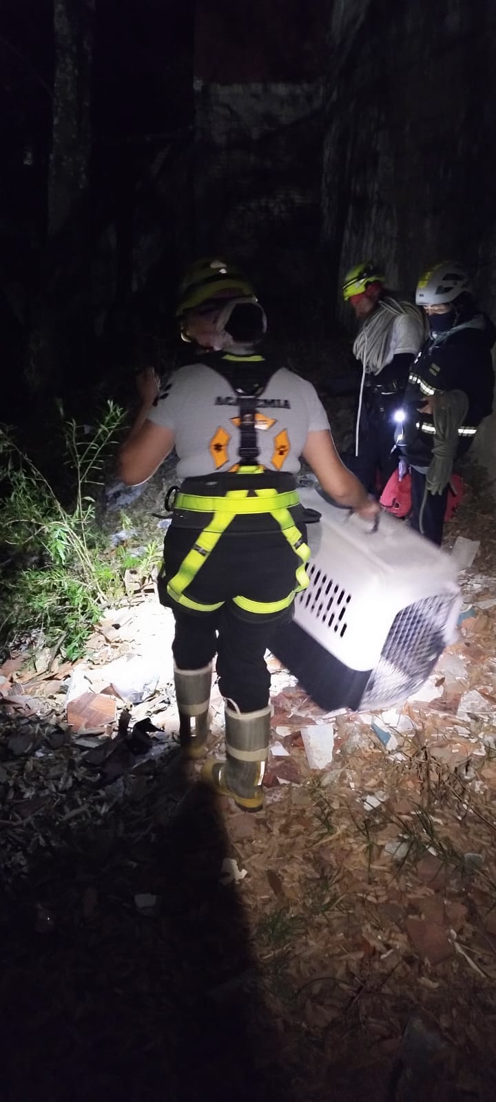 Rescatan a perrito arrojado a barranca en Nueva Resurrección tras ser maltratado por sus dueños