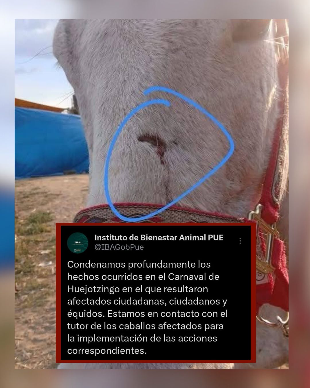 Danzante golpeó con mosquetón a caballo en Huejotzingo