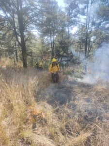 El gobierno de Puebla y la Fiscalía actuarán con todo rigor contra quienes provoquen incendios Guardia Forestal