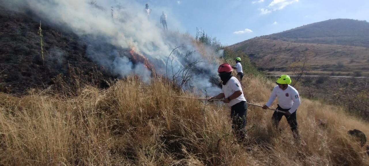 Habrá cárcel para quienes provoquen incendios forestales