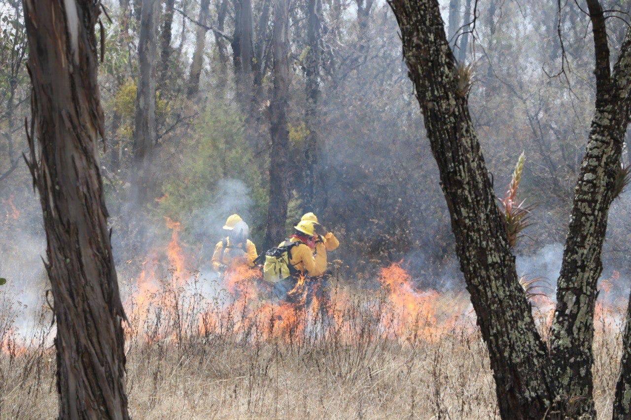 Incendios Estadísticas 2025