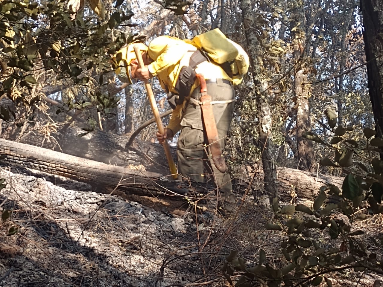 Incendios en Puebla 2025