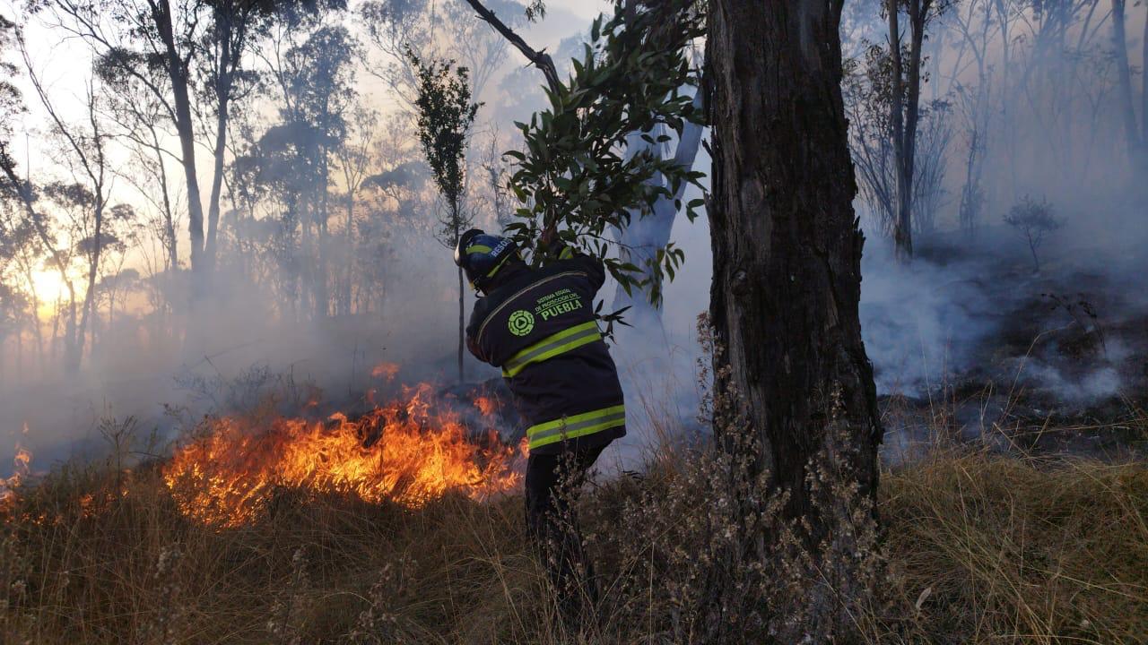 Provoquen incendios forestales