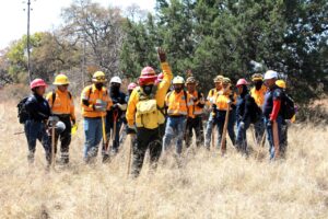 SSP capacita a integrantes de la Policía Estatal Forestal en Protección al Ambiente Elementos