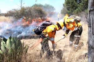 SSP capacita a integrantes de la Policía Estatal Forestal en Protección al Ambiente Elementos Fuego