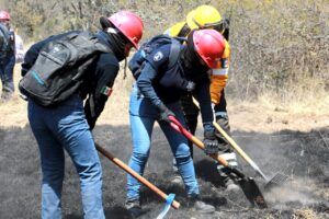 SSP capacita a integrantes de la Policía Estatal Forestal en Protección al Ambiente Elementos Práctica