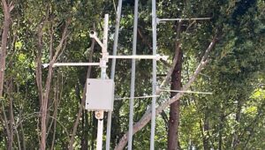 Los parques de Puebla, necesitan mayor vigilancia