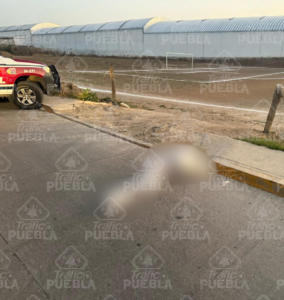 Hallan dos cuerpos emplayados en Cuautlancingo foto
