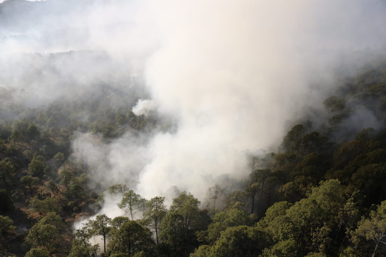 Incendio forestal en la zona Puebla-Tlaxcala