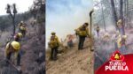 Refuerza el Gobierno de Puebla el combate contra incendios forestales