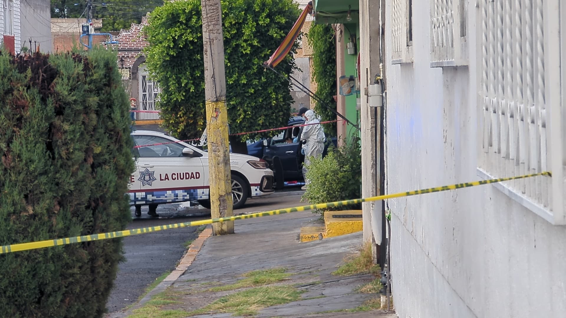Ejecutaron a Maribel Gómez Trejo, hermana de la ex suplente a diputada Tania Félix_foto1