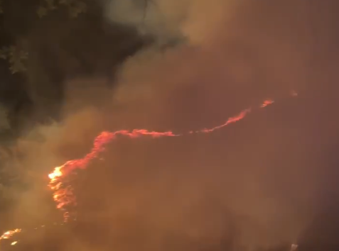 Incendio en Bosques de San Sebastián