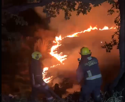 Protección Civil sofocó un incendio en Bosques de San Sebastián