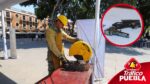 Puebla registra avances en seguridad gracias al programa de desarme y colaboración ciudadana