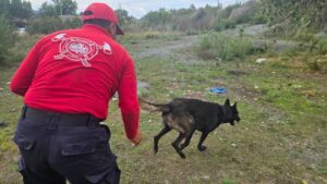 Realizan operativo de búsqueda en la Laguna de Aljojuca por una persona desaparecida Perro