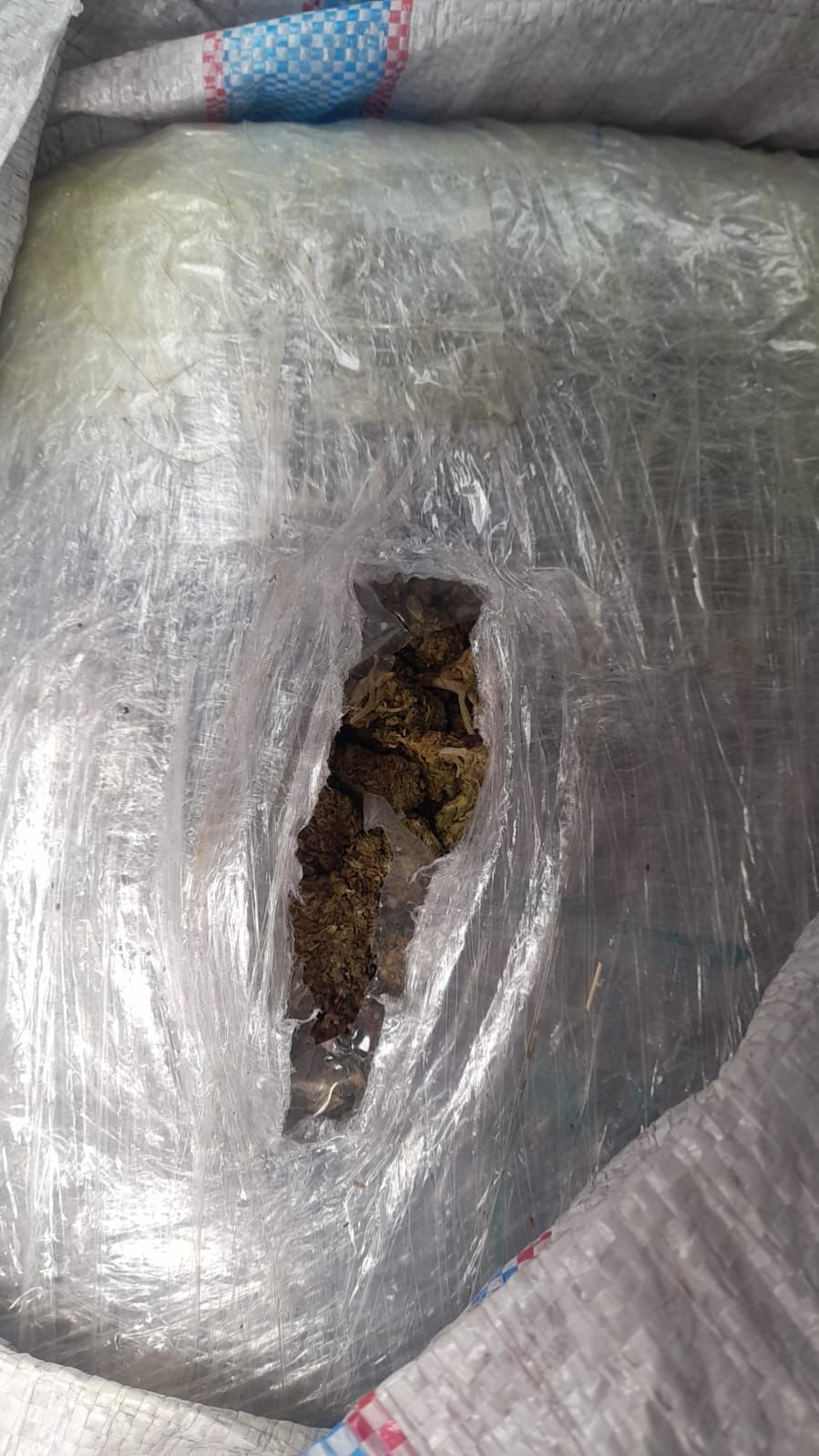 Aseguran 65 kilos de marihuana en un operativo de seguridad en Puebla Costales Droga