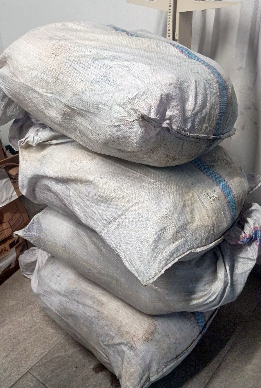 Aseguran 65 kilos de marihuana en un operativo de seguridad en Puebla Costales
