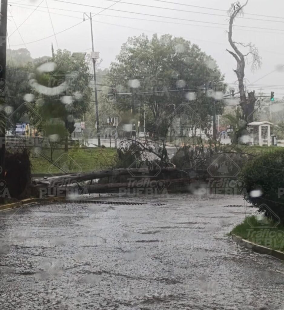Fuertes lluvias dejan afectaciones en Puebla Capital y municipios cercanos Reporte