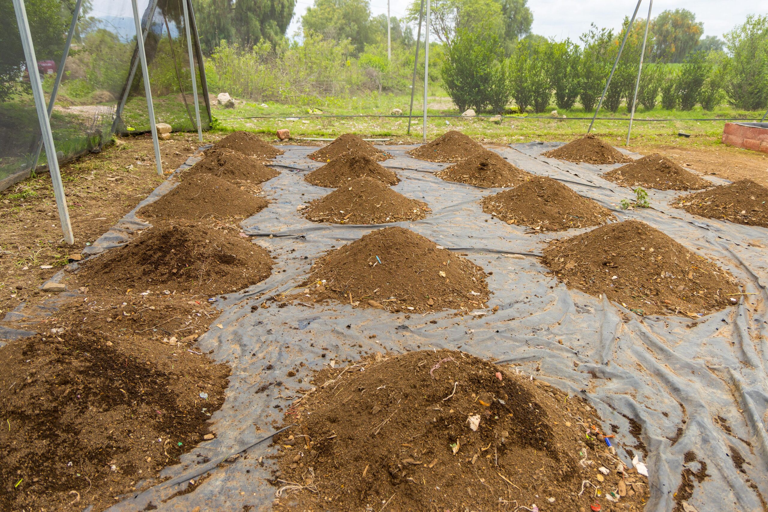 Planta recicladora de orgánicos en Huixcolotla, una realidad en Puebla_foto1