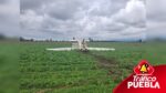 Se desploma avioneta en Huejotzingo; tripulantes resultan ilesos
