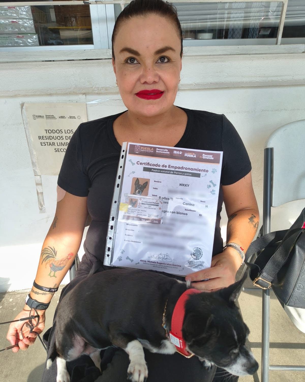 Puebla lanza padrón estatal para perros y gatos