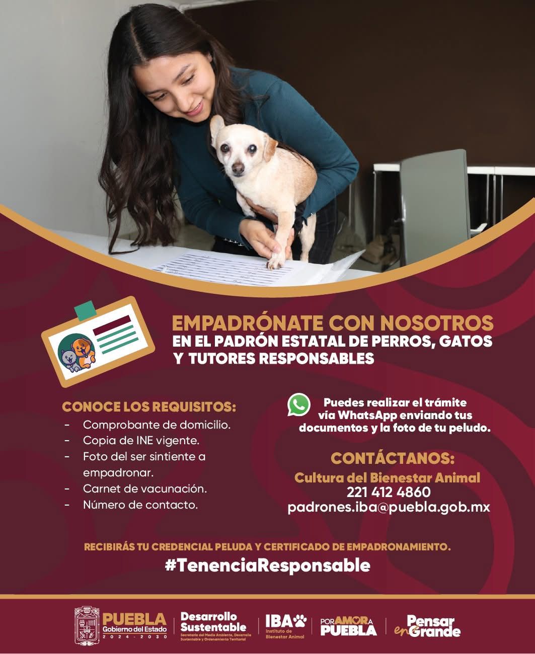 Puebla lanza padrón estatal para perros y gatos
