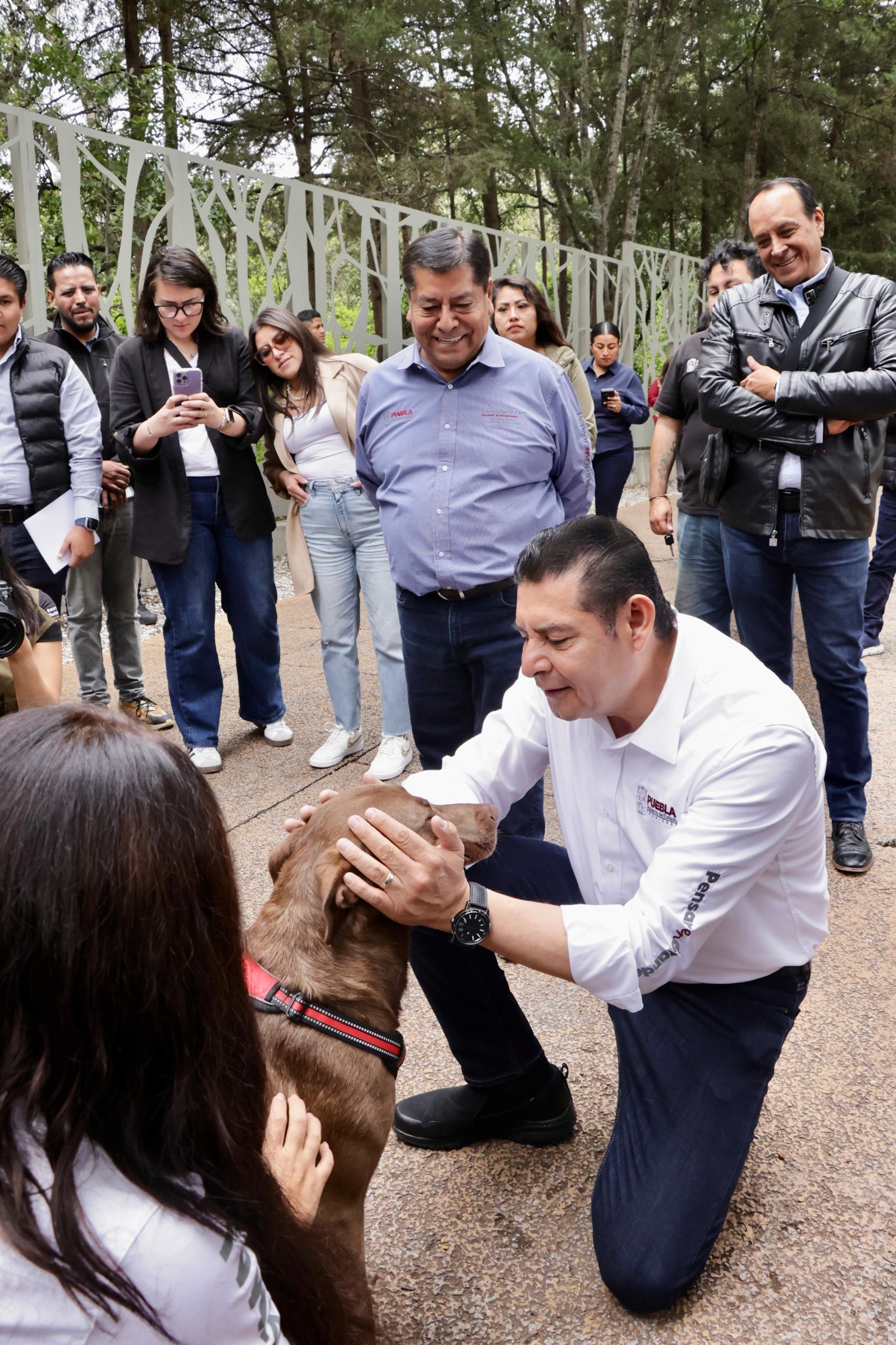 Gobierno de Puebla anuncia creación del Centro Estatal Animal y refuerza la red de bienestar animal en el estado