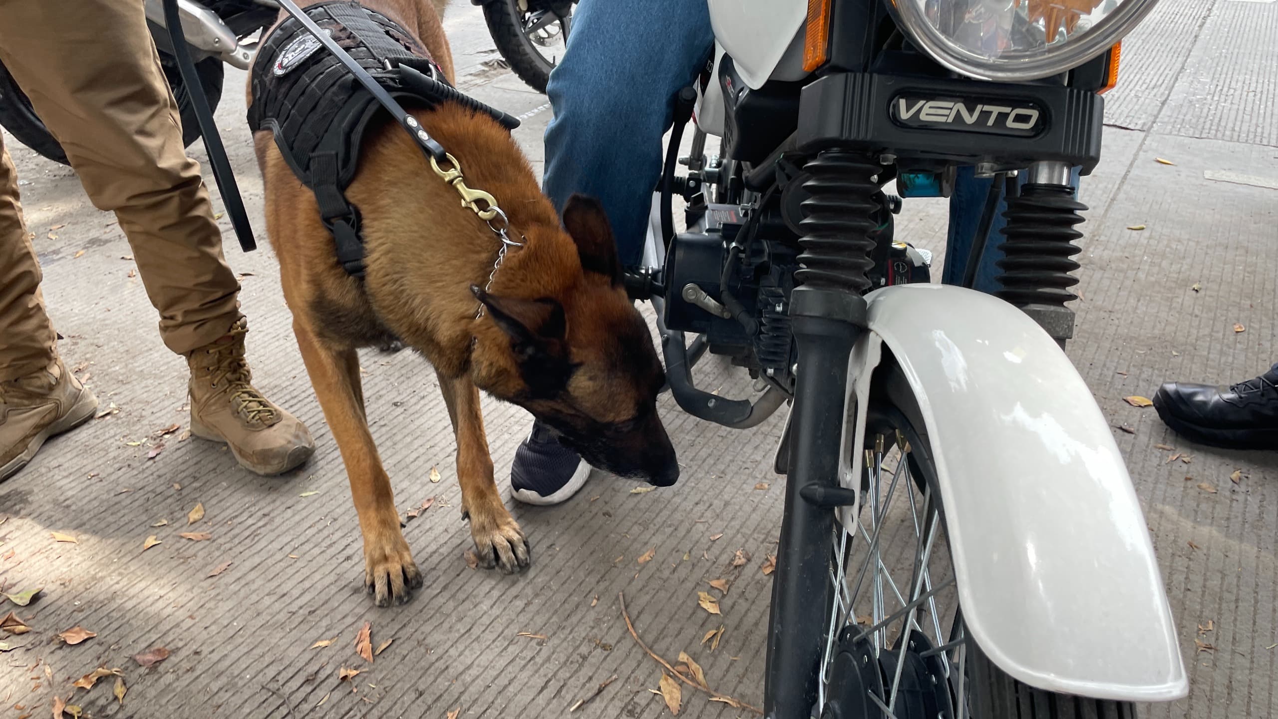 Refuerza Gobierno de la Ciudad seguridad vial con el Operativo Centinela_foto1