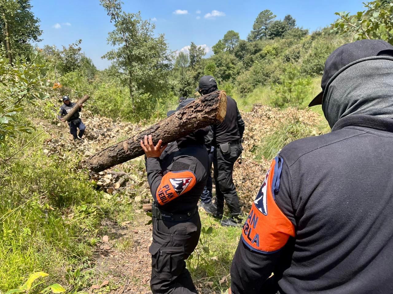 Desmantelan una red de tala ilegal de árboles en La Malinche elementos