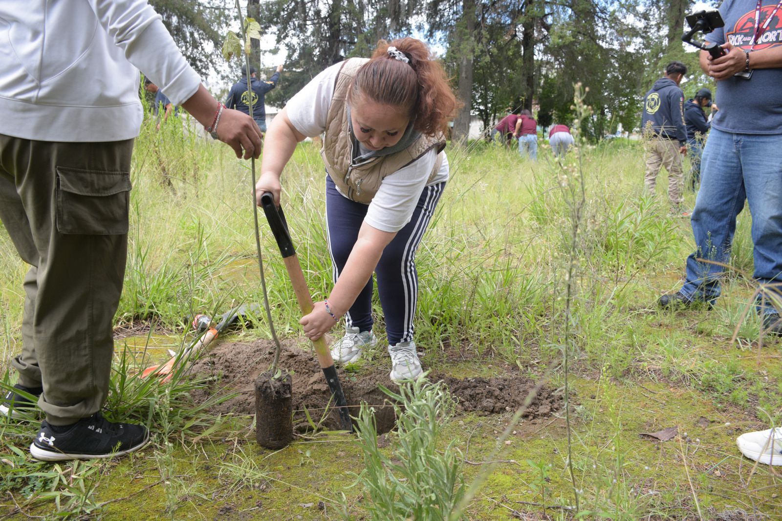 Gobierno de Pepe Chedraui lleva programa de reforestación a Bosques de Amalucan